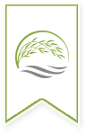 Flag with decorative stalk of grain