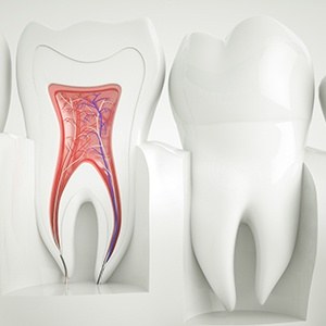 Animation of the inside of a tooth